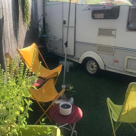 Gardencaravan Near Ghent In Green Area Dış mekan fotoğraf