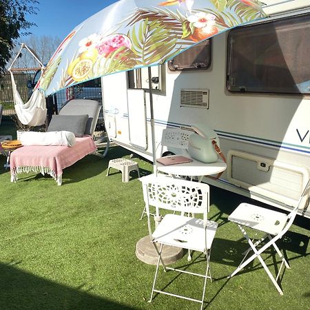 Gardencaravan Near Ghent In Green Area Dış mekan fotoğraf