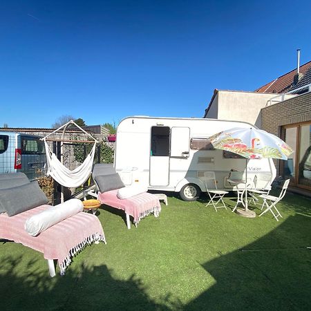 Gardencaravan Near Ghent In Green Area Dış mekan fotoğraf