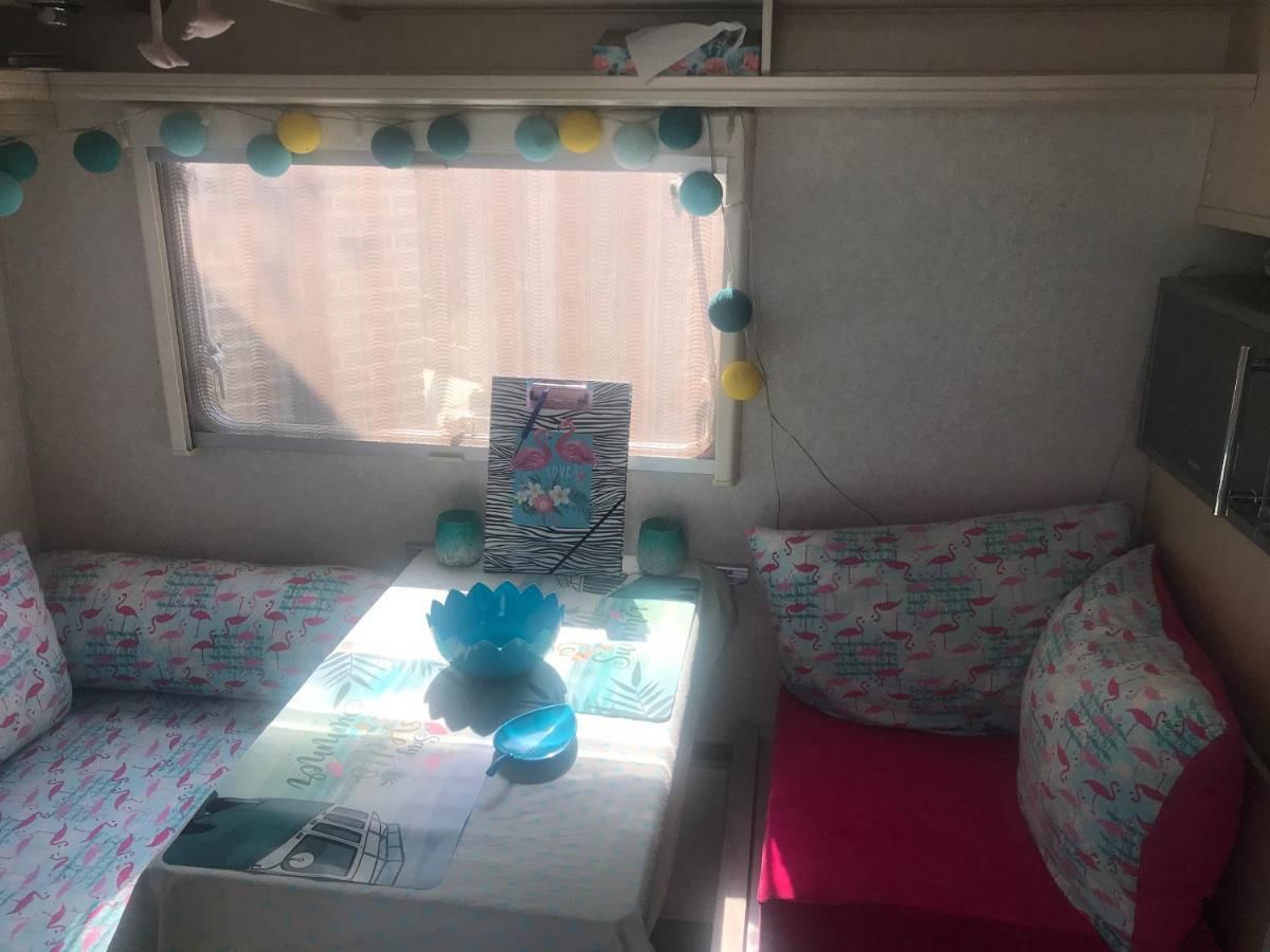 Gardencaravan Near Ghent In Green Area Dış mekan fotoğraf