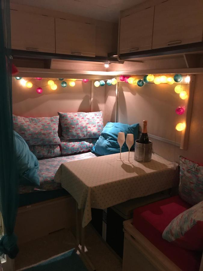 Gardencaravan Near Ghent In Green Area Dış mekan fotoğraf